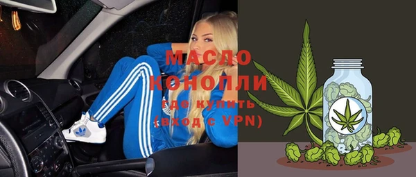 индика Вязьма
