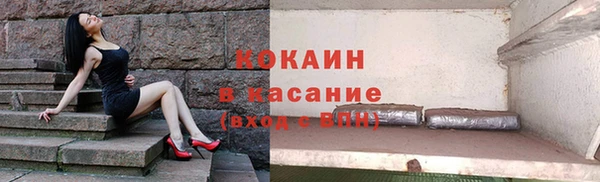 индика Вязьма