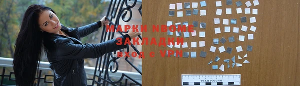 индика Вязьма