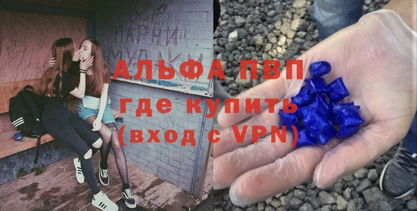 индика Вязьма