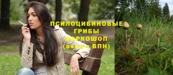 индика Вязьма