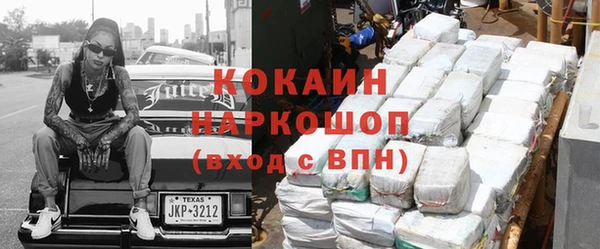 индика Вязьма