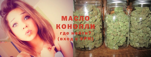 индика Вязьма