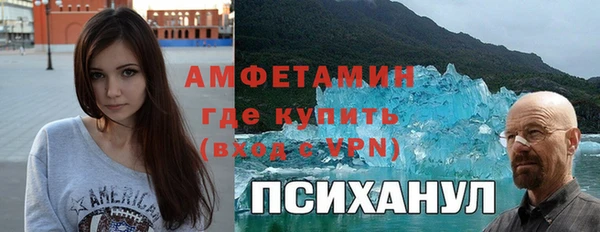 индика Вязьма