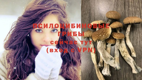 индика Вязьма