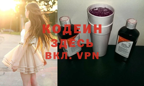 индика Вязьма