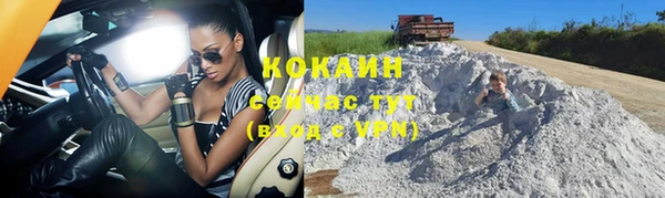 прущая мука Вяземский