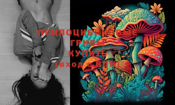 индика Вязьма