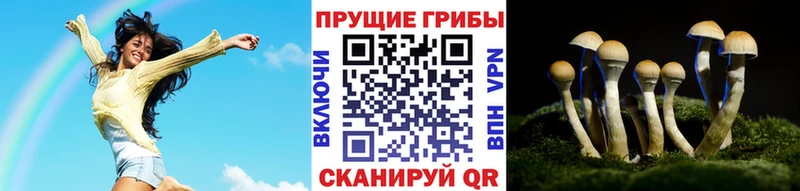 купить наркотики цена  Закаменск  нарко площадка Telegram  Псилоцибиновые грибы MAGIC MUSHROOMS 